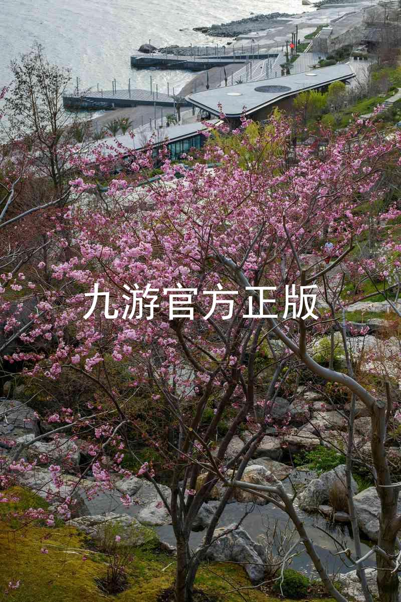 九游官方正版